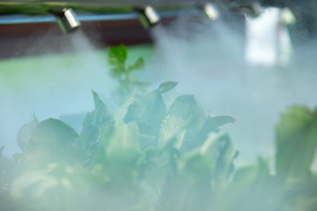 Greens in the refrigerator at the market. Fresh green onions in the supermarket. Refrigerator for...