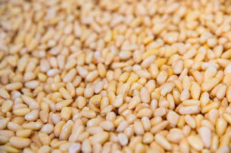 close-up of shelled pine nuts, viewed from above. The background consists of a large number of pine seeds, a healthy, natural, organic food and a product of natural originの写真素材