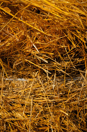 A close-up of a hay bale showing its texture. Farm background.の写真素材