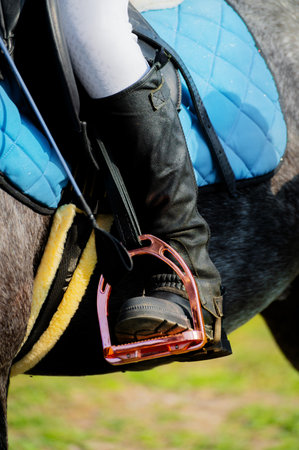 close-up of a riders leg on a gray horse, looking forward. A womans foot in a boot, standing in a pink stirrup. Specialized equipment for equestrian sports and show jumpingの写真素材