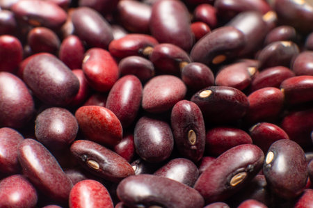 A close-up of a large amount of red kidney beans in a clear storage jar. Macro shot of the beans...