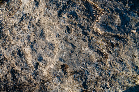 Textured surface of weathered stone with natural patterns and variations in color, showcasing earthy...