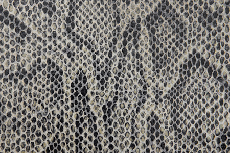 Snake leather texture, leather background