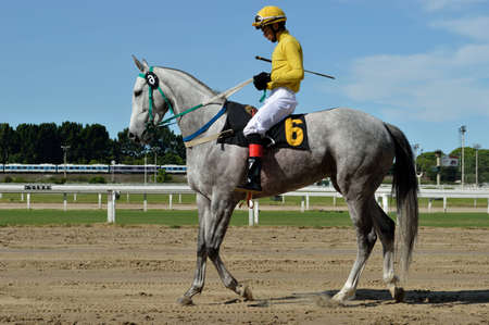 Turfのeditorial素材