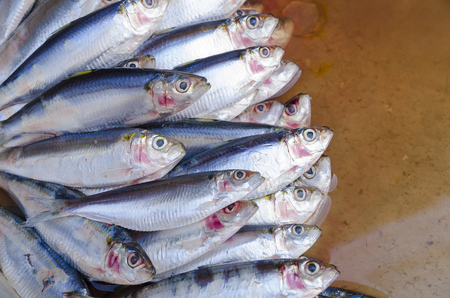 Seafood background of fresh fishes in southeast asia local marketの写真素材