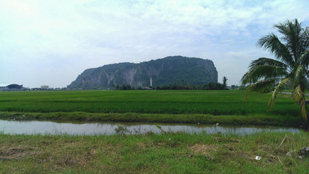 View of peaceful Gunung Keriang and paddy fieldの素材