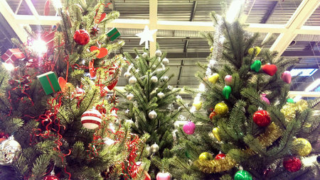 Christmas preparationの素材