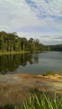 Reflection of trees in lakeの素材