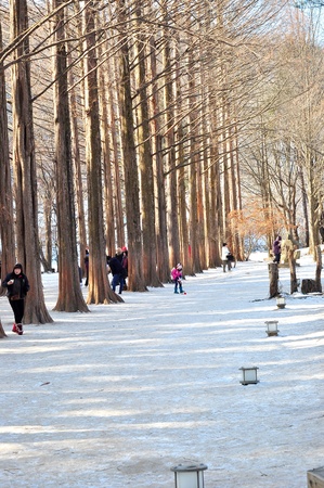 Namiseom,South Korea 1 Jan 2015:  People celebrating New Year Eve at Nami Islandのeditorial素材