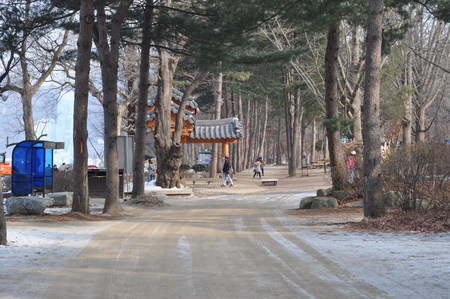 Nami Island during winterのeditorial素材