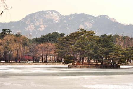 Nami Island during winterのeditorial素材