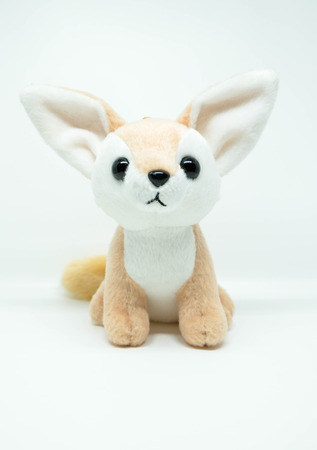 Brown dog with big ears stuffed like chihuahua dog or fox dollの写真素材