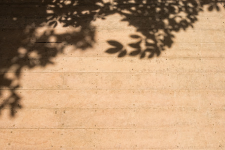 Surface of orange wooden background and trees foliage at left corner as decorationの写真素材