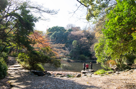 Dec 9, 2016 - Tokyo, Japan:  Beautiful pond in garden inside Tokyo University. Elderly like to walk and relax.のeditorial素材