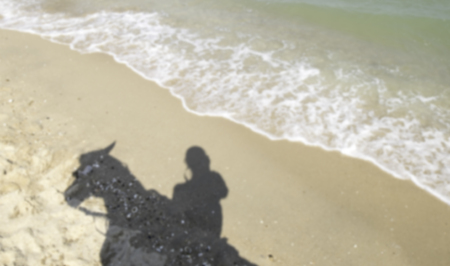Shadow of woman or man riding horse at beach in blurred version.の写真素材