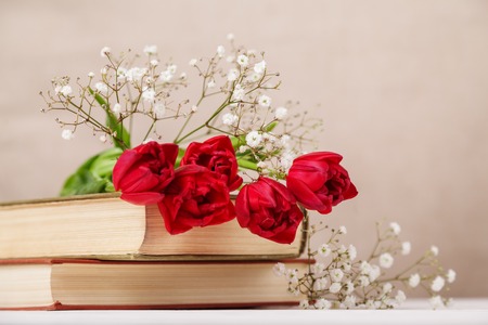 Vintage still Life with a spring bouquet of red tulips and a books on a beige background. Mother's...