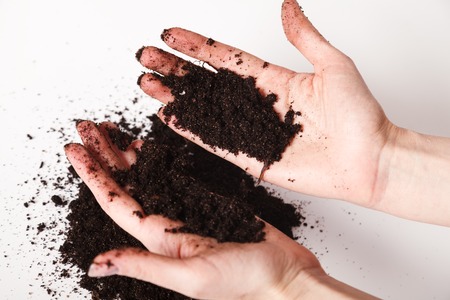 Soil in woman arms against white background close-up. Two hands holding a handful of ground soil. World soil day concept.の写真素材