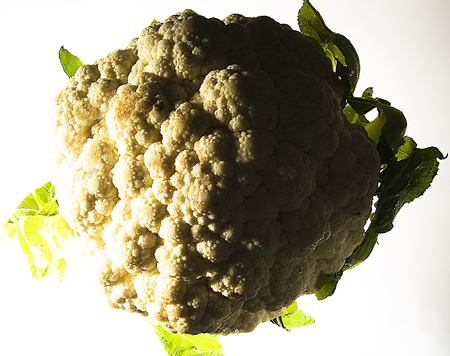 Close-up of cauliflowerの写真素材