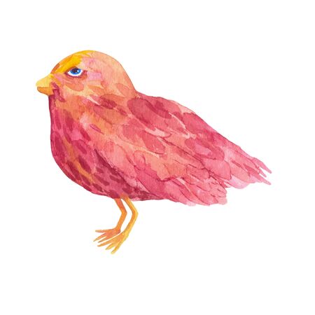 Little red bird with yellow beakのイラスト素材