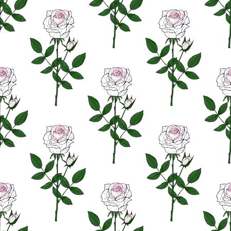 White roses seamless pattern. Luxurious wedding flowers on a white background. Vector stock illustration.のイラスト素材