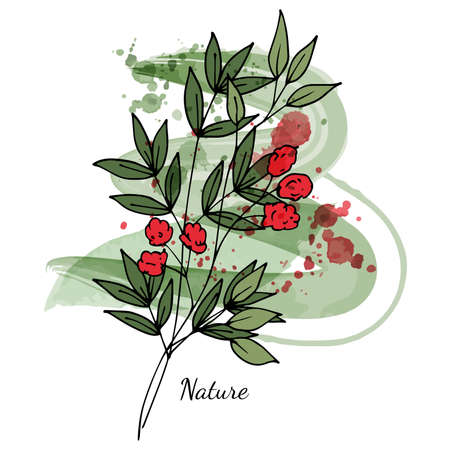 Mini bouquet in doodle style. Bright red flowers. Watercolor splashes. Postcard, decor, invitation. Valentine's Day.A festive congratulatory beautiful bouquet. Manual drawing. White background.のイラスト素材