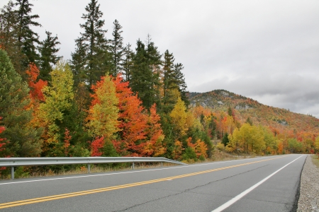 Autumn Sceneの写真素材