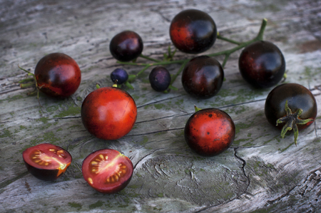 Branch of fresh black tomatoes on a wooden backgroundの写真素材