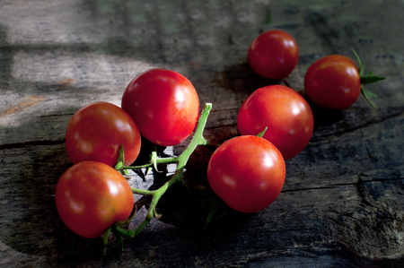 Branch of fresh red tomatoes on dark wooden backgroundの写真素材