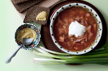 Borsch with with green onion, mustard and dark bread on green background. Traditional dish of ukrainian cuisineの写真素材
