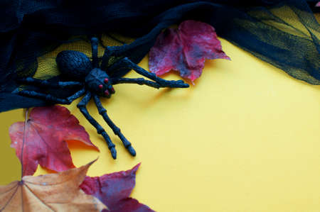 Halloween yellow background with bats and black spiders with autumn leaves. Halloween decorations on yellow backgroundの写真素材