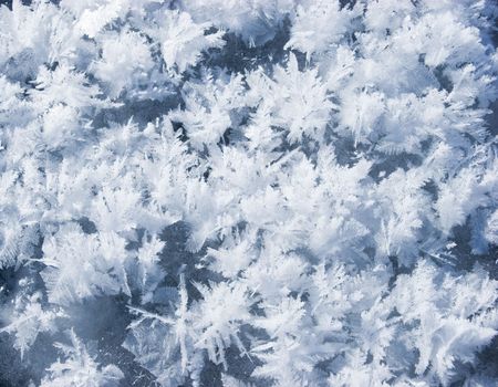 Beautiful background from hoarfrost crystals