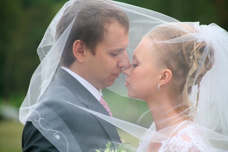 Newlyweds under a veil gently kissing in the parkの写真素材