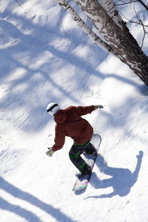 snowboarder slides from the mountain through the forest along the road extremeの写真素材