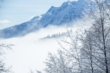 Beautiful winter landscape of high mountains with snow covered trees in fogの写真素材