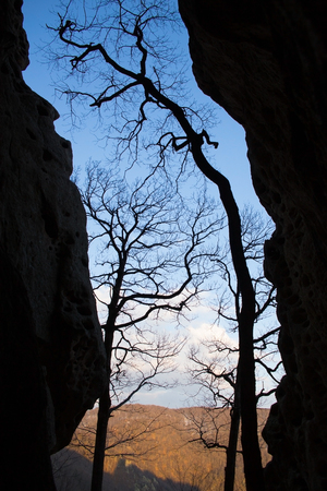 beautiful mountain landscape with trees. Silhouetteの写真素材