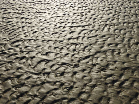View of the dried-up bottom of a reservoir covered. Ecological catastrophy.の写真素材