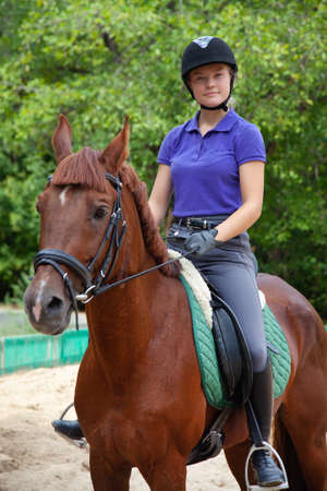 Portrait of young horsewoman on red horseの写真素材