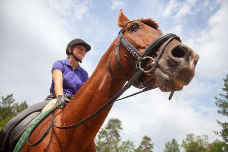 Portrait of young horsewoman on red horseの写真素材