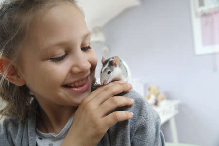 Little girl cute plays and makes friends with a white tamed mouse at home.の写真素材