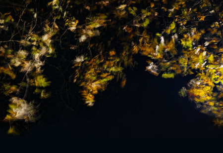 beautiful night photo of yellow autumn leaves fluttering in the wind.の写真素材