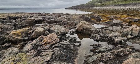 Beautiful landscape of northern nature. Tundra and seaの写真素材