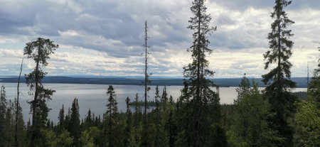 Beautiful landscape of northern nature. Taiga, Coniferous forestの写真素材