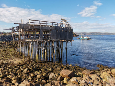 Beautiful landscape of northern nature. Tundra.の写真素材