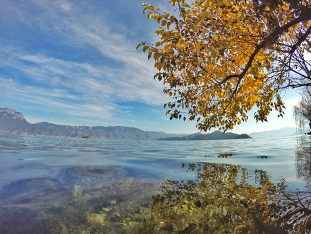 yellow leaves inverted reflection in waterの写真素材