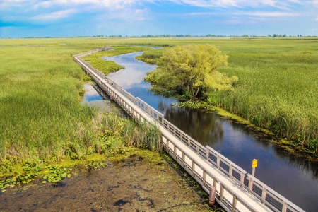 Landscape view of grass field with flowing river and bridgeの写真素材