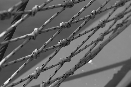 Sea knots black and white