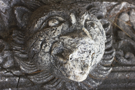 Ancient Lycian stone lionの写真素材