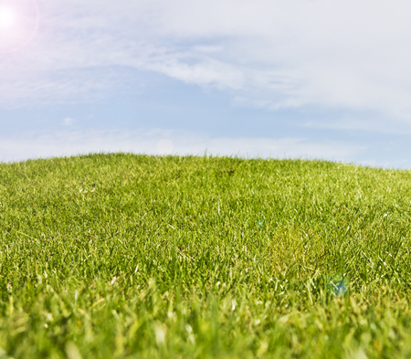 Golf course in Belek. Green grass on a field. Blue sky, sunny dayの写真素材