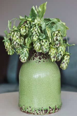 Cones of green hops. Artificial silk flowers in interiorの写真素材