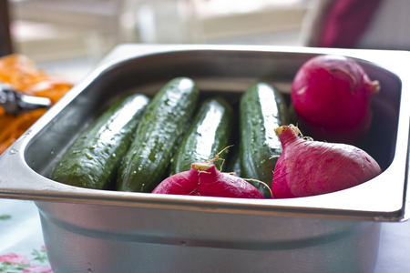 Fresh vegetables turnips and cucumbers in the metal trayの写真素材